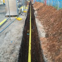 IMG_1002-1 IMG_1002-1