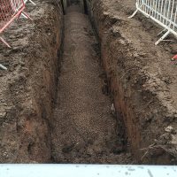 IMG_1175-1 IMG_1175-1