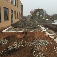 IMG_1177-1 IMG_1177-1