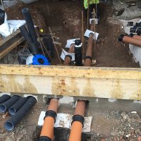 IMG_1249-1 IMG_1249-1