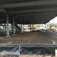 IMG_1251-1 IMG_1251-1