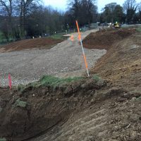 IMG_1445-1 IMG_1445-1