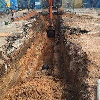 IMG_2006-1 IMG_2006-1