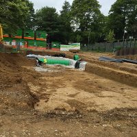 IMG_2041-1 IMG_2041-1