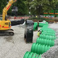 IMG_2078-1-1 IMG_2078-1-1