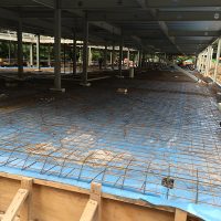 IMG_2124-1-1 IMG_2124-1-1