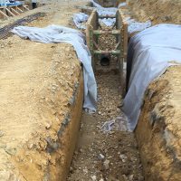 IMG_2160-1-1 IMG_2160-1-1