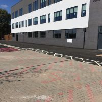 IMG_2259-1 IMG_2259-1