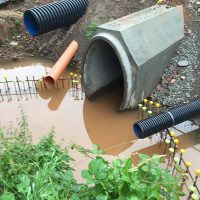 IMG_2466-1-1 IMG_2466-1-1