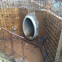 IMG_2528-1 IMG_2528-1